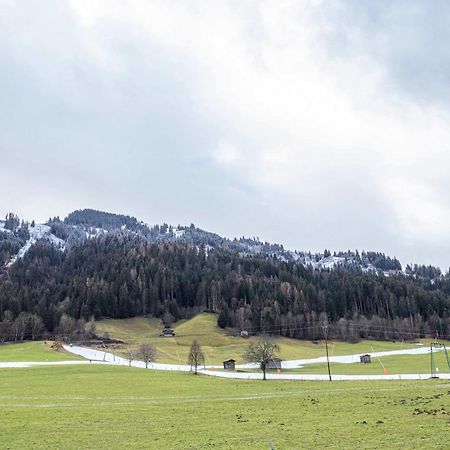 Bergwelt C Διαμέρισμα Niederau Εξωτερικό φωτογραφία